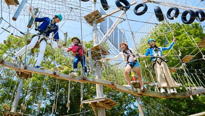 Group of four people wearing helmets and harnesses navigating a wooden obstacle course high above the ground.